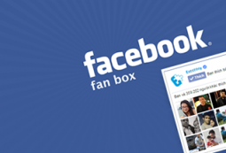 Facebook Fanbox